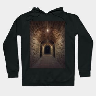 underground cellar tunnel Hoodie